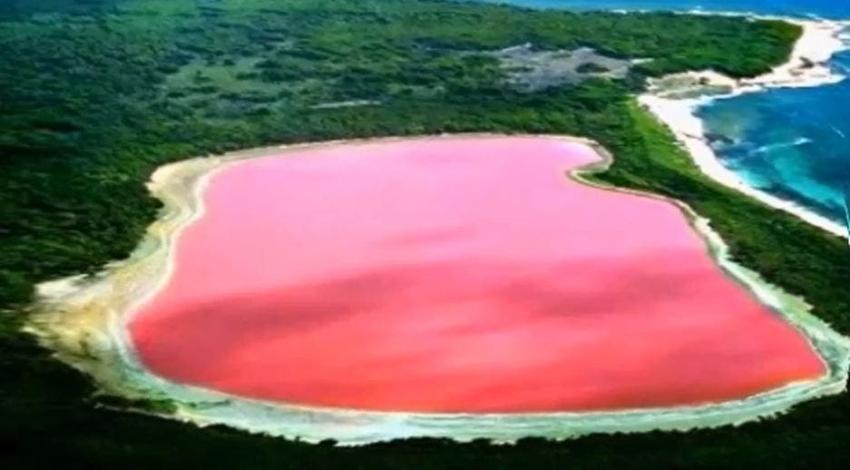 ¿Por qué el agua del lago Hillier en Australia es de color rosado?