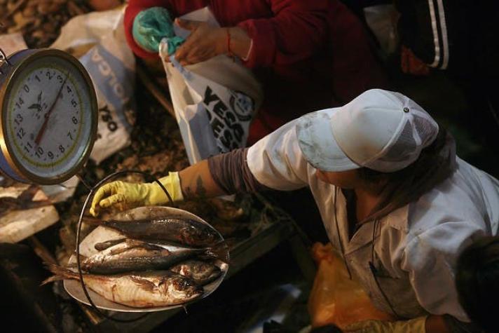 Semana Santa: Sernac detecta diferencias de casi un 270% en el kilo de merluza