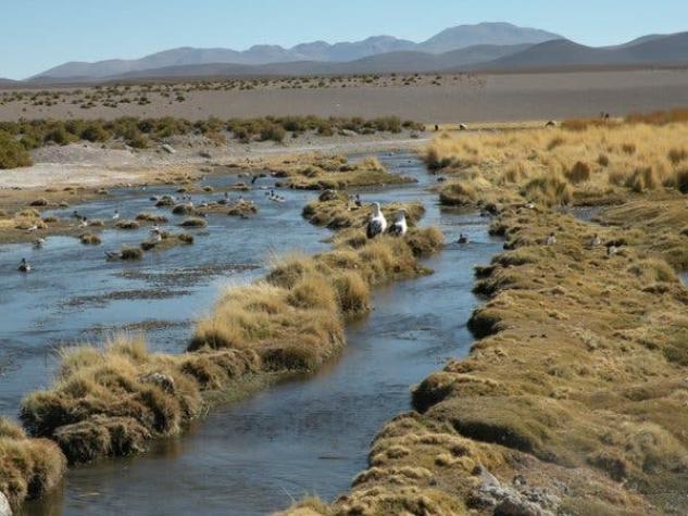 Silala: Así es el río por el que Bolivia podría demandar a Chile