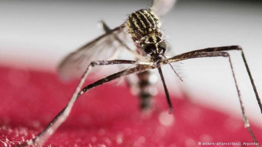 Colombia registra casi 70.000 contagiados de virus zika desde octubre