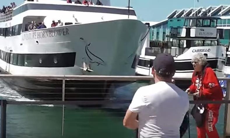 [VIDEO] Impactante: Crucero se estrella en el puerto de San Diego causando pánico
