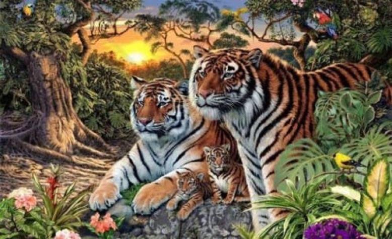 ¿Cuántos tigres ves en esta foto? El reto viral que revoluciona Facebook