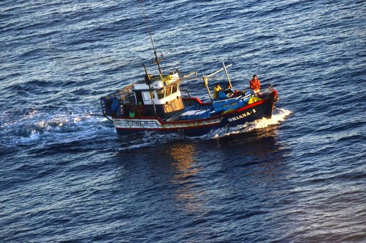 Armada captura en zona exclusiva chilena buque peruano que había cazado 40 tiburones