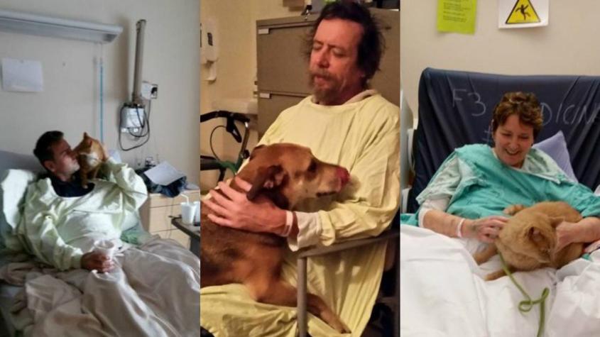 Hospital canadiense permite que las mascotas visiten a sus dueños enfermos