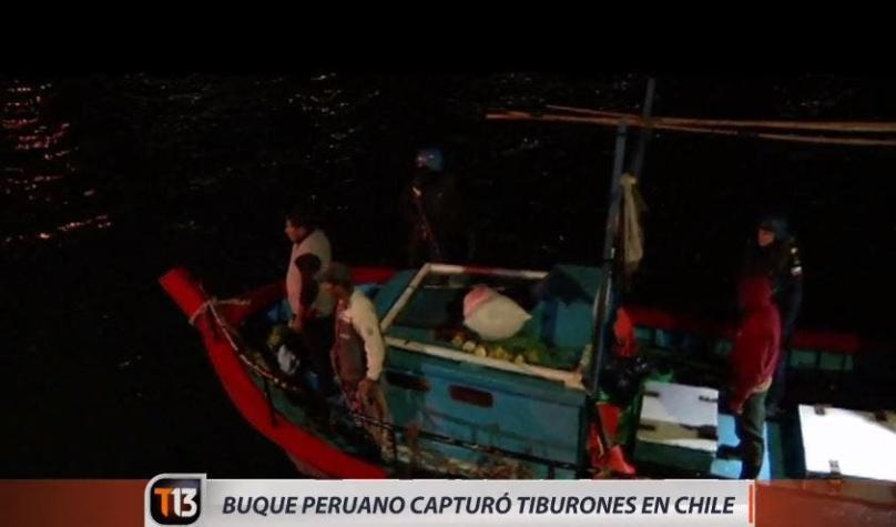 [VIDEO] Detienen embarcación con cargamento ilegal de casi tres toneladas de tiburones