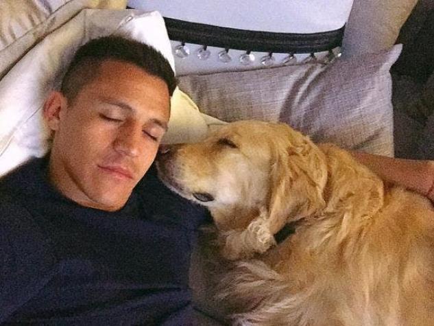 [VIDEO] El enigmático homenaje de Alexis a sus perros vía Instagram
