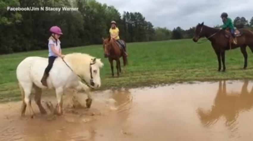 [VIDEO] Su pony decidió que era la hora del baño y éste fue el resultado