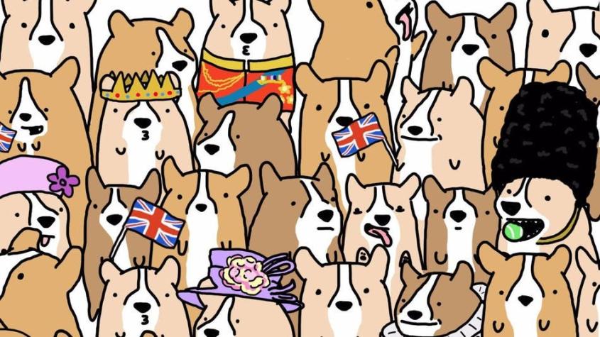 ¿Puedes encontrar a la Reina Isabel II en este grupo perros corgis?