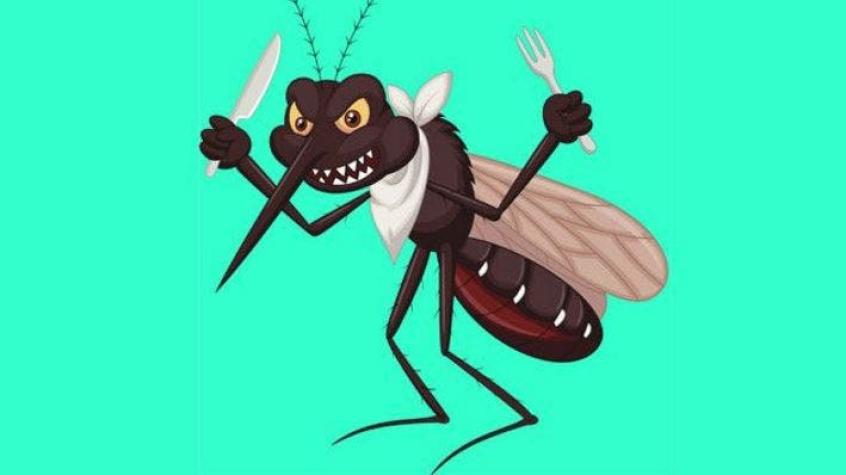 ¿Por qué los mosquitos te pican a ti (y no a los demás)?