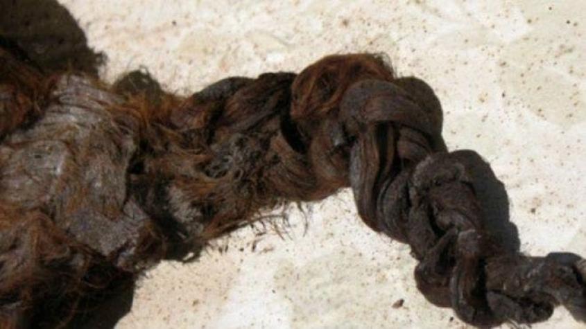 El misterio del cabello encontrado en un féretro en la abadía de Romsey