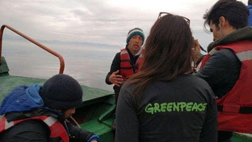Greenpeace llega a Chiloé para analizar denuncia de contaminación hecha por pescadores