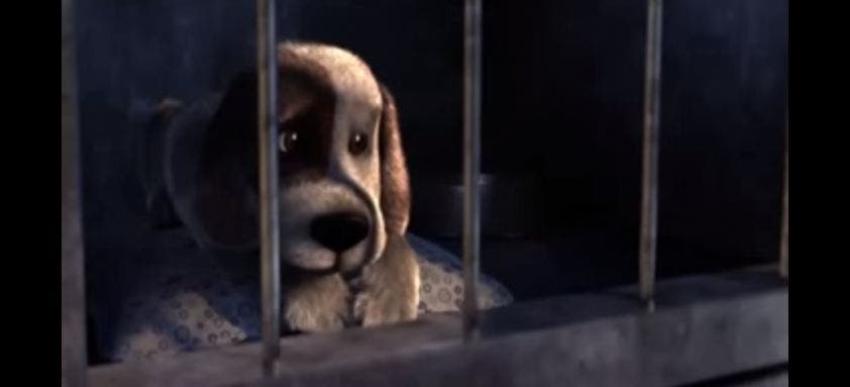 [VIDEO] Conmovedor corto animado sobre perrito que espera a ser adoptado