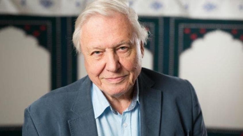9 formas en las que David Attenborough ha cambiado nuestra vida