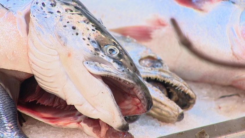Cae venta de pescado y autoridades descartan contaminación