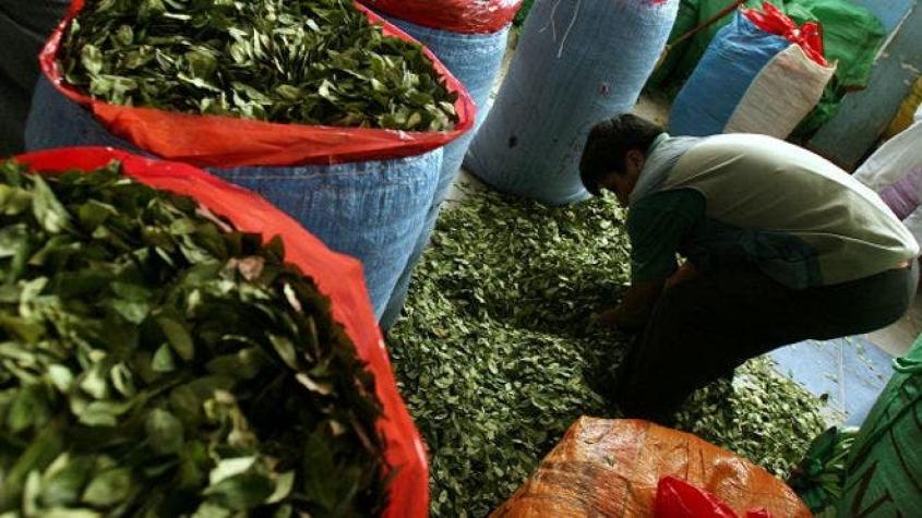 La polémica ley antidrogas de EE.UU. que preocupa a productores de coca de Bolivia, Colombia y Perú