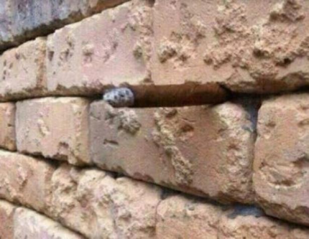 La notable ilusión óptica del cigarro en los ladrillos que es furor en redes sociales