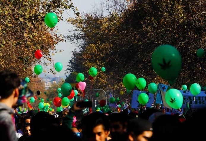 Multitudinaria marcha a favor del autocultivo de cannabis se desarrolló en la capital