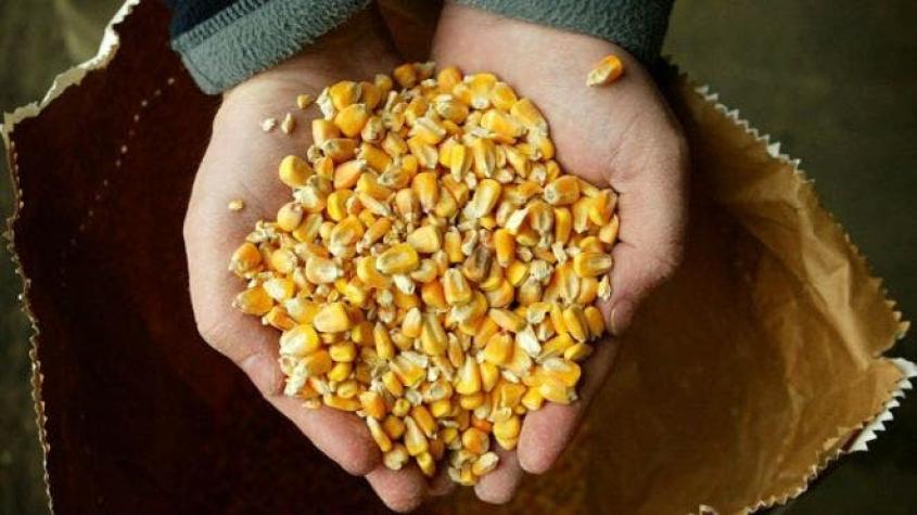 Venezuela aumenta 900% precio de la harina de maíz