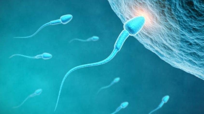 El controvertido uso de esperma de hombres muertos para tener hijos