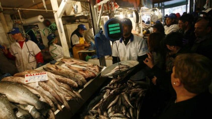 Ministra de Salud descarta que pescados estén afectados por marea roja
