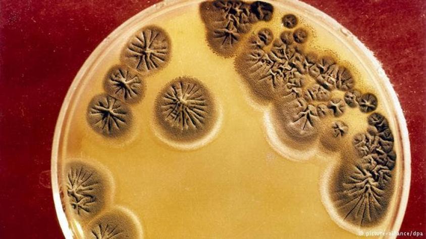 Segundo paciente infectado en EEUU por bacteria súper-resistente a antibióticos