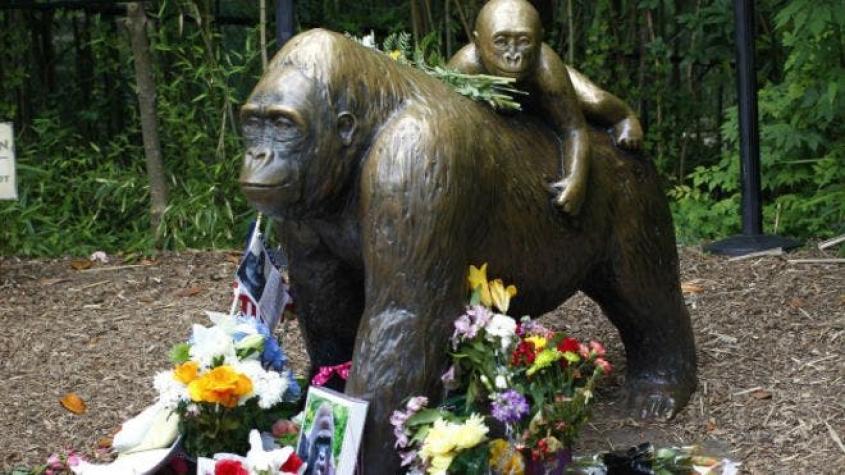 La madre del niño que cayó al recinto del gorila que mataron en Cincinnati no enfrentará cargos