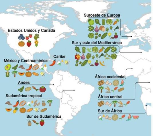 El mapa que muestra el origen de los alimentos que comemos
