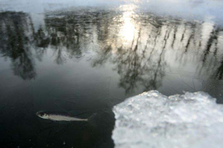 Mueren ahogados 14 adolescentes en un lago de Rusia
