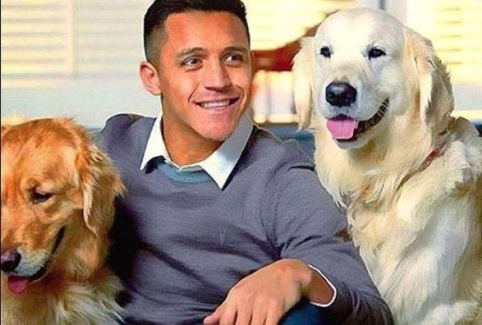 ¡Ternura total! Alexis Sanchez vuelve a dedicar conmovedor video a sus perros