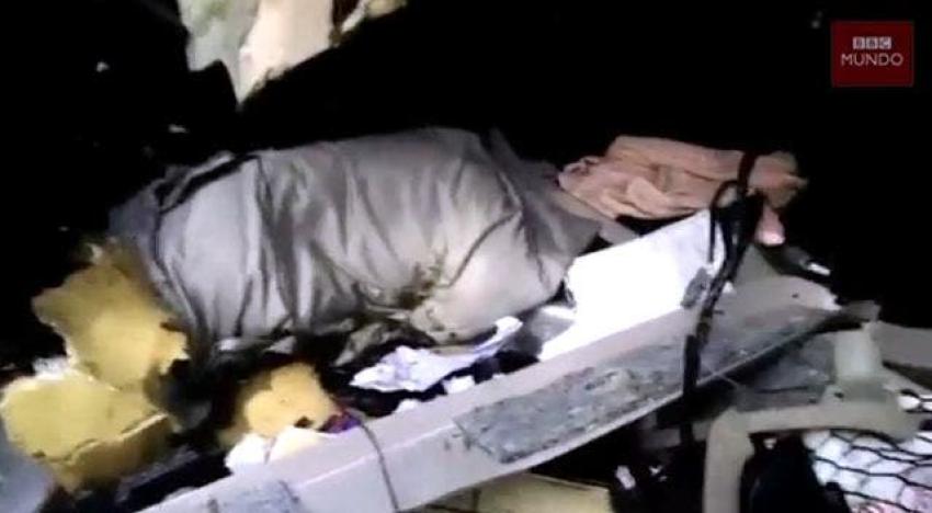 [VIDEO] Esto es lo que puede pasar si un oso se mete dentro de tu auto