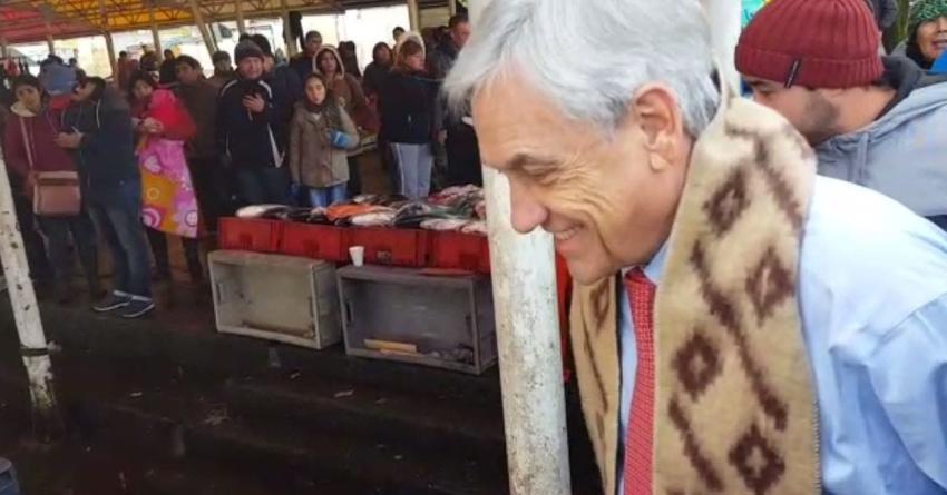 [VIDEO] Piñera revive episodio con lobo marino en Valdivia