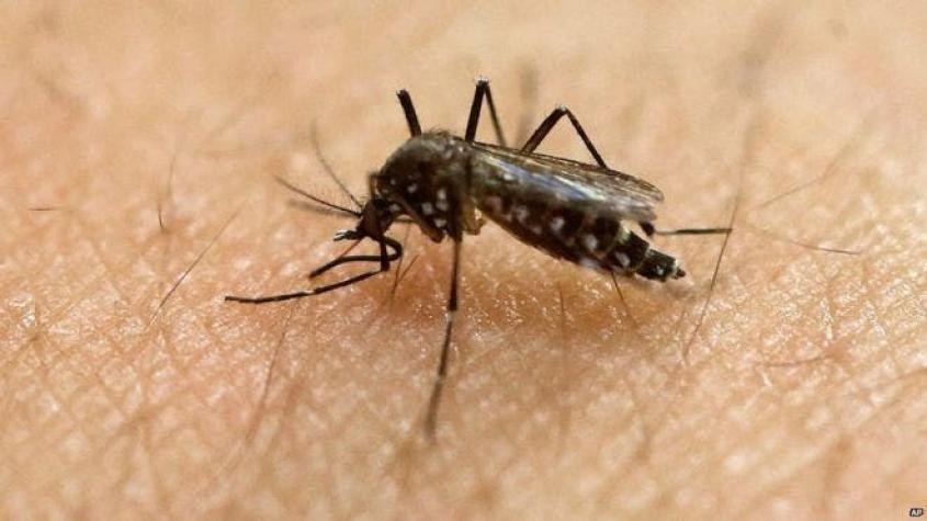 La batalla política que desató en EE.UU. la lucha contra el zika