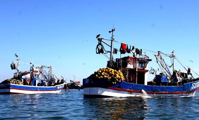 Correos revelan influencia de industrias pesqueras durante tramitación de Ley de Pesca