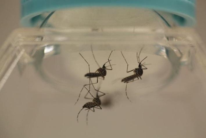 Detectan virus del Zika en esperma de italiano 6 meses después de infección
