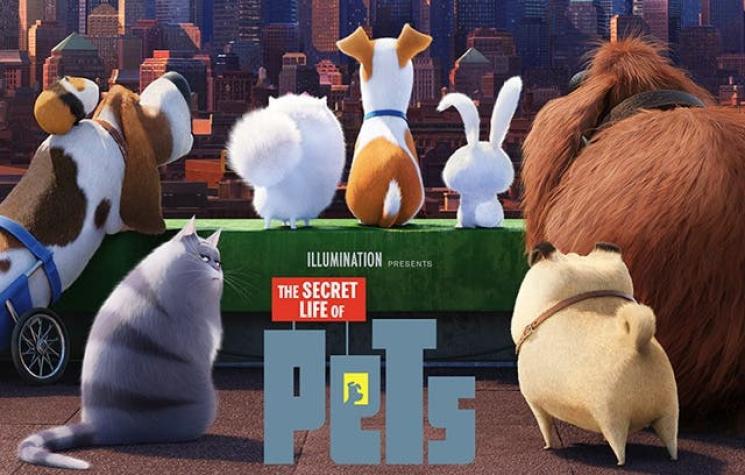 "The Secret Life of Pets" se prepara para una secuela