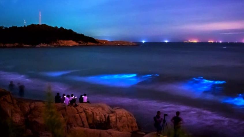 El espectacular fenómeno de la "lagrima azul" ilumina el mar en China