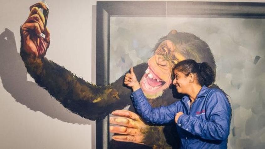 Arte clic: de gira por un museo pensado para hacerse fotografías y selfies