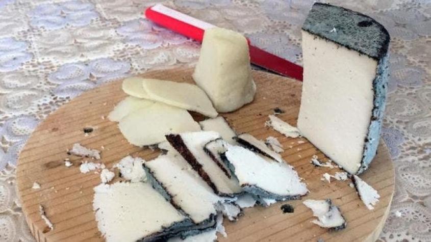 El queso más caro del mundo está hecho de leche de…