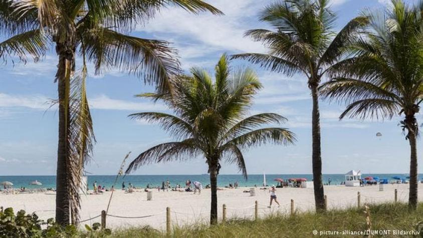 Confirman cinco casos de zika en Miami Beach