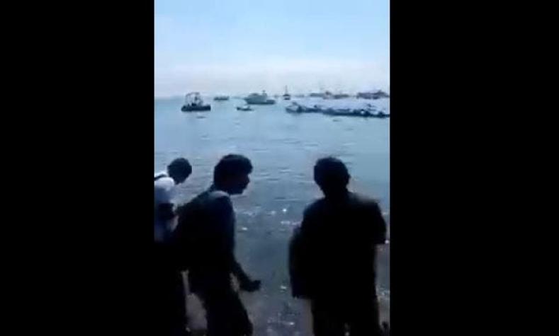 [VIDEO] Perú: fanáticos se meten al mar para capturar a un inusual pokémon