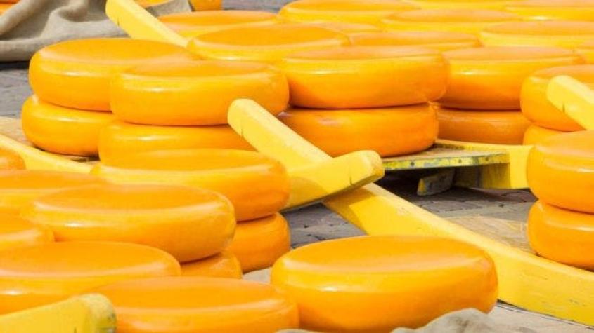Por qué el gobierno de EE.UU. va a comprar 5 millones de kilos de queso