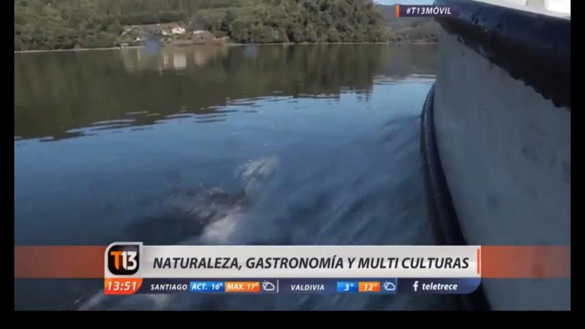 [VIDEO] Malleco: Naturaleza, Gastronomía y Multicultura