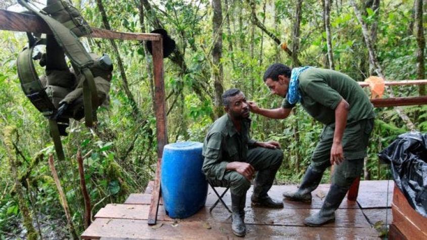 ¿Y qué va a pasar ahora con los guerrilleros de las FARC?