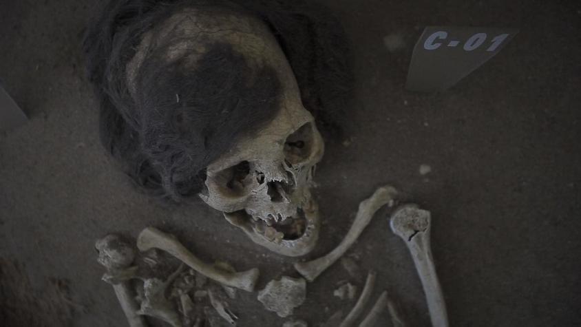 La historia de las momias del Chinchorro, tesoro de Arica