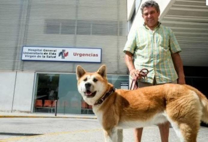 La perra que lleva cuatro días esperando a su dueña afuera de un hospital