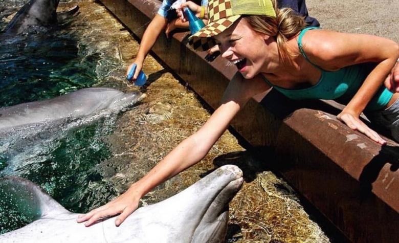 Brie Larson acarició un delfín en 2004 y debió pedir perdón 12 años después
