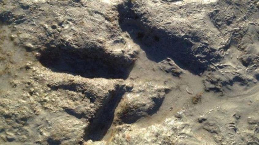 [VIDEO] Mujer descubre huellas de dinosaurio en una playa de Australia