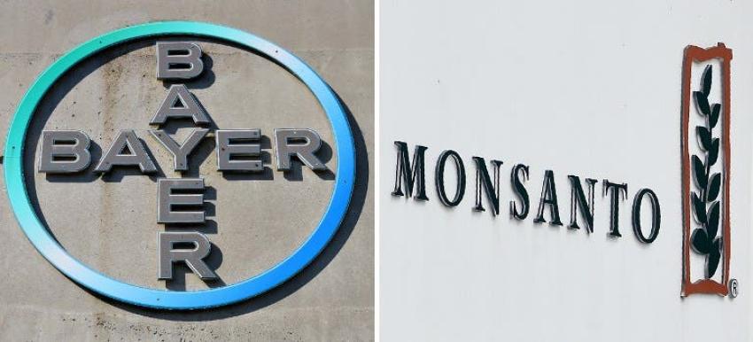 FNE decide investigar efectos de fusión Bayer-Monsanto