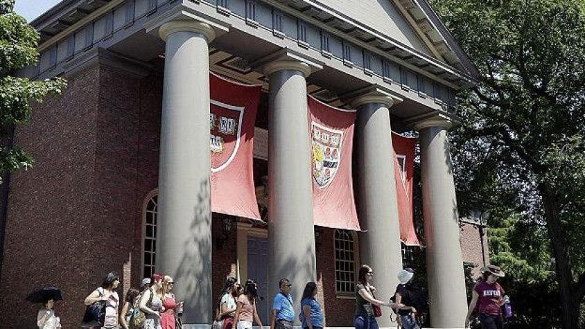 Estudia en Harvard con alguno de sus 98 cursos gratuitos online
