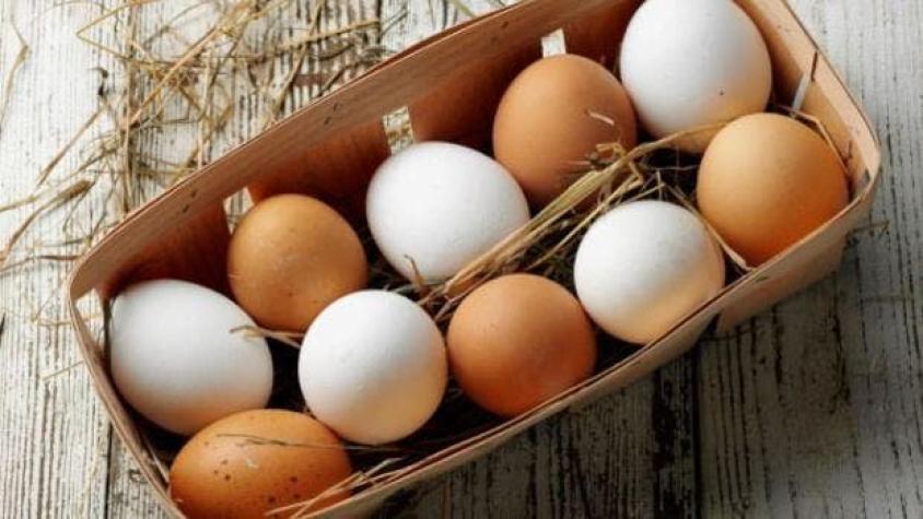 ¿Cuáles son las verdaderas diferencias entre los huevos blancos y de color?